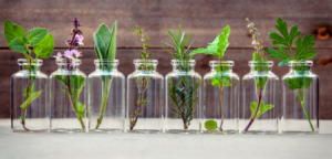 Les fleurs de Bach, Vous connaissez ?