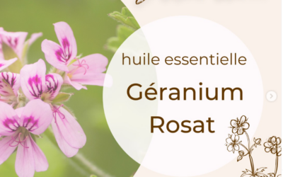 Géranimum Rosat